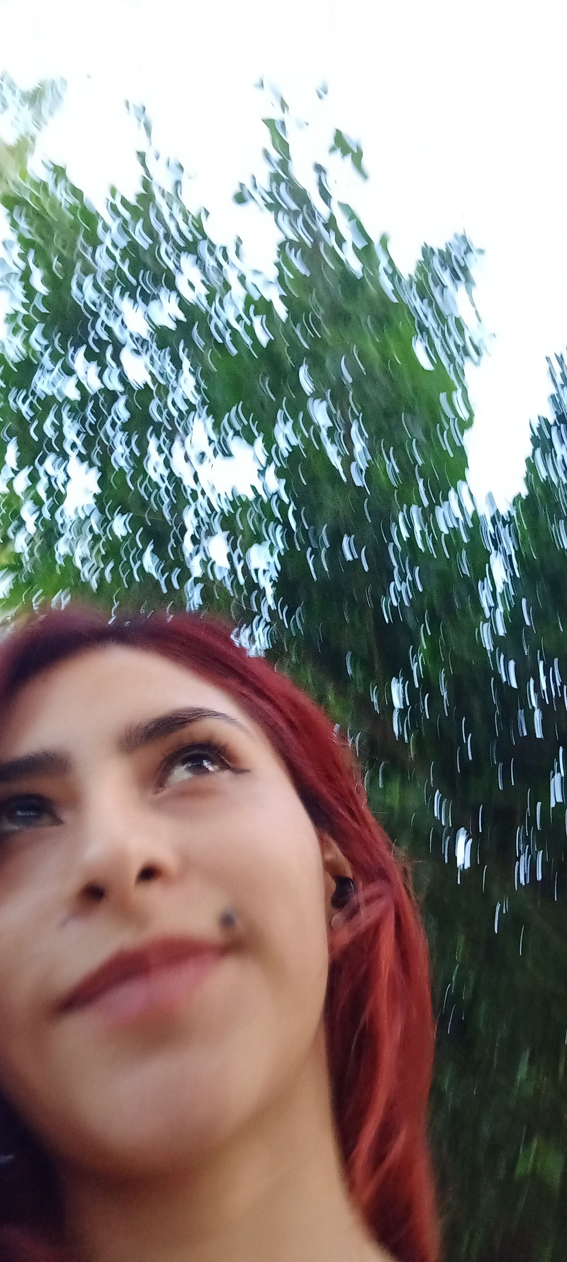 mv