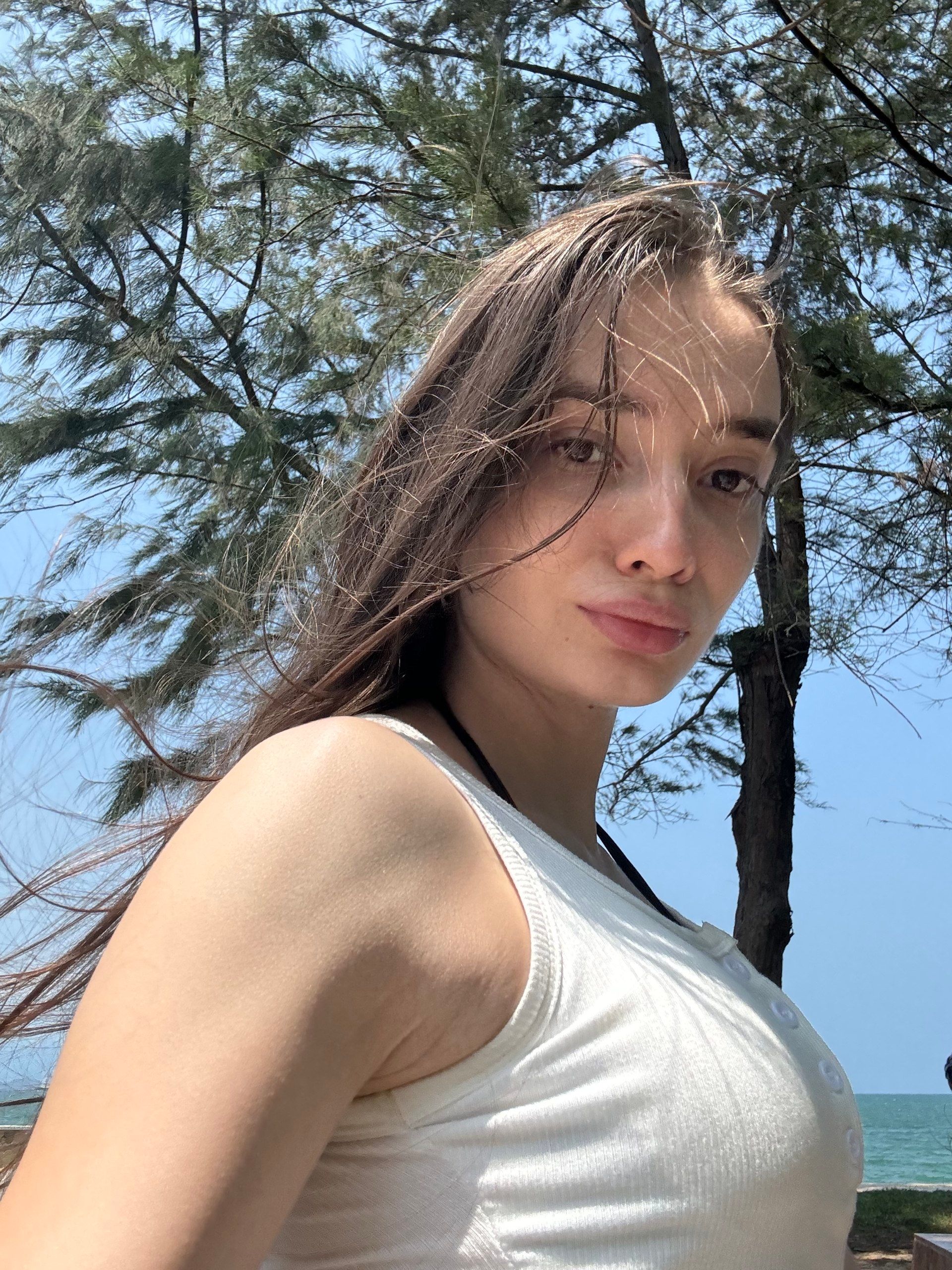 mv